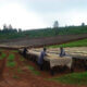 Kenya obr. 3